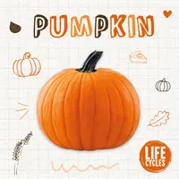 Citrouille - Pumpkin