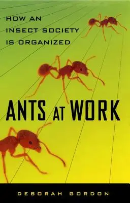 Les fourmis au travail : l'organisation d'une société d'insectes - Ants at Work: How an Insect Society Is Organized