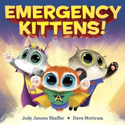 Chatons d'urgence ! - Emergency Kittens!