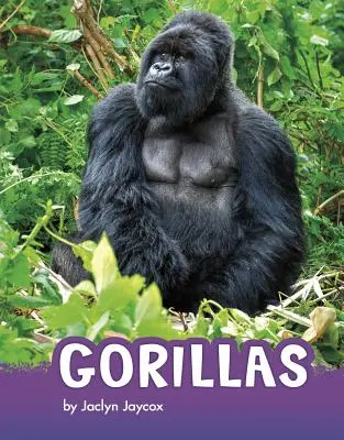 Gorilles - Gorillas