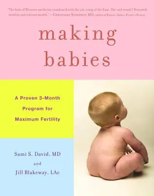 Faire des bébés : Un programme éprouvé de 3 mois pour une fertilité maximale - Making Babies: A Proven 3-Month Program for Maximum Fertility