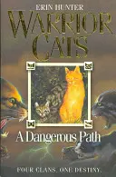 Chemin dangereux - Dangerous Path