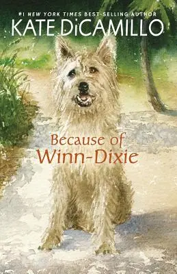 À cause de Winn-Dixie - Because of Winn-Dixie