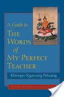 Un guide des mots de mon parfait professeur - A Guide to the Words of My Perfect Teacher