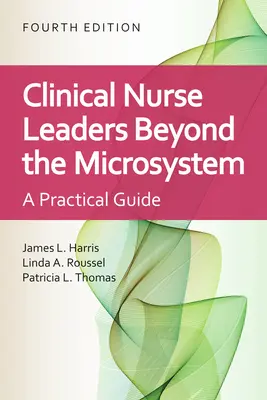 Infirmières cliniciennes dirigeantes : Au-delà du microsystème : Au-delà du microsystème - Clinical Nurse Leaders: Beyond the Microsystem: Beyond the Microsystem