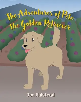 Les aventures de Pete le Golden Retriever - The Adventures of Pete the Golden Retriever