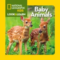 Bébés animaux - Baby Animals