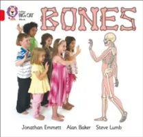 Os - Bones