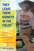 Ils laissent leurs reins dans les champs, 40 : Maladies, blessures et illégalité chez les travailleurs agricoles américains - They Leave Their Kidneys in the Fields, 40: Illness, Injury, and Illegality Among U.S. Farmworkers