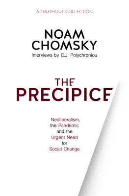 Le précipice : le néolibéralisme, la pandémie et l'urgence du changement social - The Precipice: Neoliberalism, the Pandemic and Urgent Need for Social Change