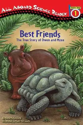 Les meilleurs amis : La véritable histoire d'Owen et Mzee - Best Friends: The True Story of Owen and Mzee