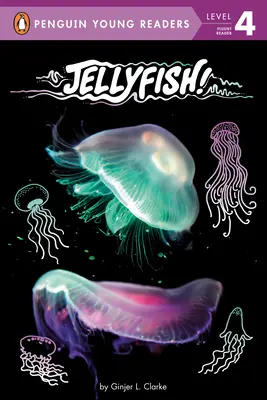 Méduses ! - Jellyfish!