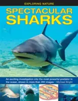 Requins spectaculaires : Une enquête passionnante sur le prédateur le plus puissant de l'océan, illustrée par plus de 200 images. - Spectacular Sharks: An Exciting Investigation Into the Most Powerful Predator in the Ocean, Shown in More Than 200 Images