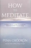 Comment méditer : Un guide pratique pour devenir l'ami de votre esprit - How to Meditate: A Practical Guide to Making Friends with Your Mind