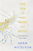 La mer n'est pas faite d'eau - La vie entre les marées - Sea is Not Made of Water - Life Between the Tides