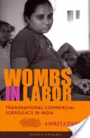 Wombs in Labor : La maternité de substitution commerciale transnationale en Inde - Wombs in Labor: Transnational Commercial Surrogacy in India