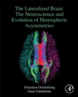 Cerveau latéralisé - La neuroscience et l'évolution des asymétries hémisphériques (Ocklenburg Sebastian (Ruhr-Universitat Bochum Bochum Allemagne)) - Lateralized Brain - The Neuroscience and Evolution of Hemispheric Asymmetries (Ocklenburg Sebastian (Ruhr-Universitat Bochum Bochum Germany))