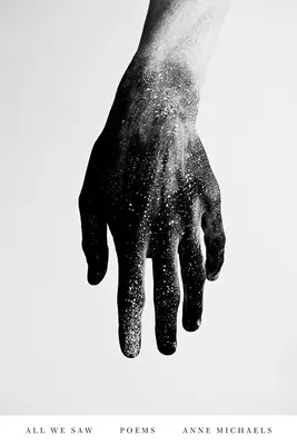 All We Saw : Poèmes - All We Saw: Poems