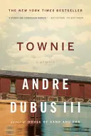 Townie : Un mémoire - Townie: A Memoir