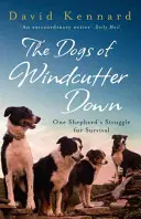 Les chiens de Windcutter Down - Dogs of Windcutter Down