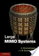 Grands systèmes Mimo - Large Mimo Systems