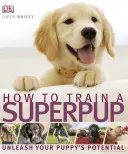 Comment dresser un super chiot - Libérez le potentiel de votre chiot - How to Train a Superpup - Unleash your puppy's potential
