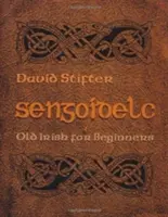 Sengoidelc : Le vieil irlandais pour les débutants - Sengoidelc: Old Irish for Beginners