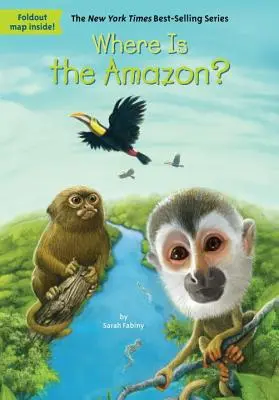 Où est l'Amazonie ? - Where Is the Amazon?