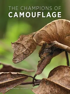 Les champions du camouflage - The Champions of Camouflage