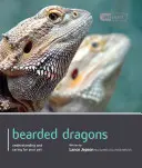 Dragon barbu - Bearded Dragon