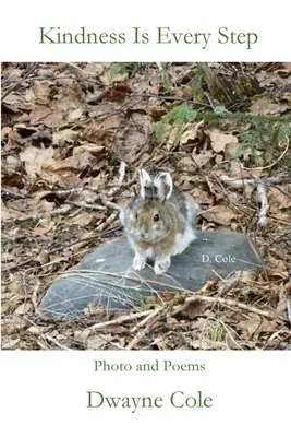 La bonté à chaque pas - Kindness Is Every Step