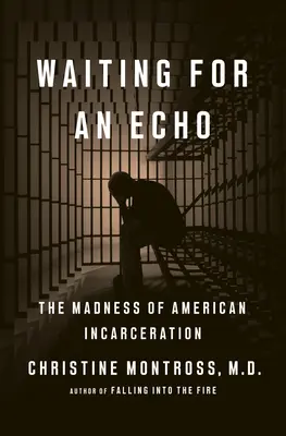 Dans l'attente d'un écho : La folie de l'incarcération américaine - Waiting for an Echo: The Madness of American Incarceration