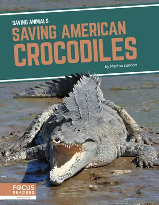 Sauver les crocodiles américains - Saving American Crocodiles