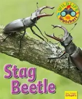 Les observateurs de la faune et de la flore : Le coléoptère - Wildlife Watchers: Stag Beetle