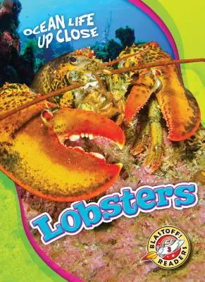 Homards - Lobsters