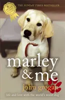 Marley et moi - Marley & Me