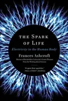 L'étincelle de vie : L'électricité dans le corps humain - The Spark of Life: Electricity in the Human Body