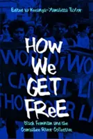 Comment nous nous libérons : Le féminisme noir et le collectif de la rivière Combahee - How We Get Free: Black Feminism and the Combahee River Collective