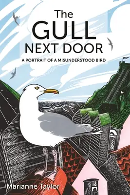 Le goéland d'à côté : Portrait d'un oiseau incompris - The Gull Next Door: A Portrait of a Misunderstood Bird