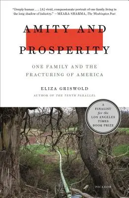 Amitié et prospérité : Une famille et la fracture de l'Amérique - Amity and Prosperity: One Family and the Fracturing of America