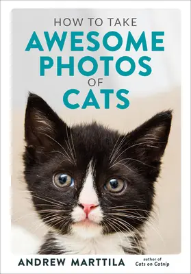 Comment prendre de superbes photos de chats - How to Take Awesome Photos of Cats
