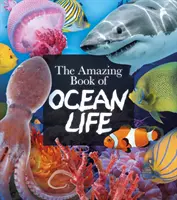 Livre étonnant sur la vie océanique - Amazing Book of Ocean Life