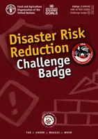 Insigne du défi de la réduction des risques de catastrophes - Disaster Risk Reduction Challenge Badge