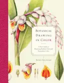 Le dessin botanique en couleur : un guide de base pour maîtriser les formes réalistes et les couleurs naturalistes - Botanical Drawing in Color: A Basic Guide to Mastering Realistic Form and Naturalistic Color