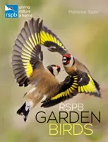 Oiseaux de jardin Rspb - Rspb Garden Birds