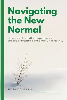 Naviguer dans la nouvelle normalité : comment les nouvelles et petites entreprises peuvent réussir malgré l'incertitude économique - Navigating the New Normal: How New & Small Companies Can Succeed Despite Economic Uncertainty