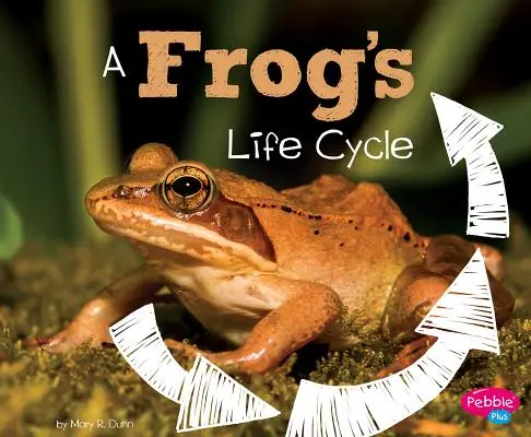 Le cycle de vie d'une grenouille - A Frog's Life Cycle