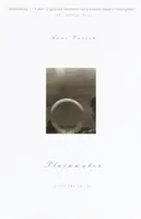 Plainwater : Essais et Poésie - Plainwater: Essays and Poetry