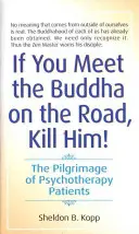 Si vous rencontrez le Bouddha sur la route, tuez-le : Le pèlerinage des patients en psychothérapie - If You Meet the Buddha on the Road, Kill Him: The Pilgrimage of Psychotherapy Patients