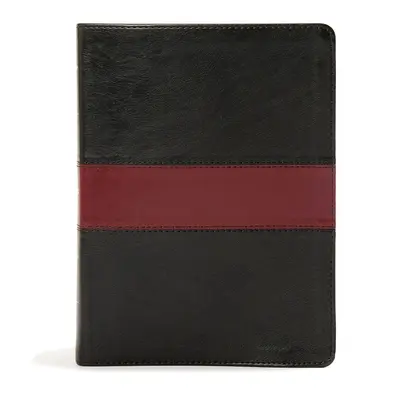 KJV Apologetics Study Bible, Black/Red Leathertouch Indexed